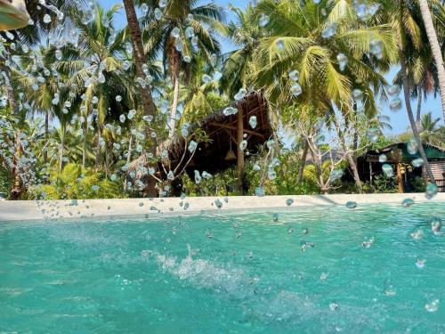 a group of birds in the water at a resort at Wind Blend Kite Resort in Kalpitiya