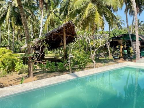 a resort with a swimming pool and palm trees at Wind Blend Kite Resort in Kalpitiya