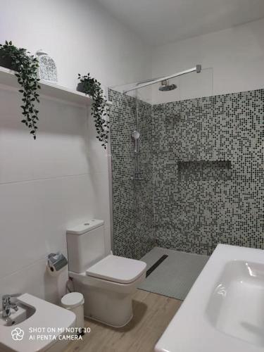 a bathroom with a toilet and a shower and a sink at SPA HOUSE 2 in Tías