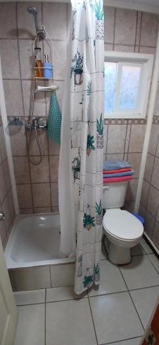 uma casa de banho com um WC e uma cortina de chuveiro em Cabañas Los Geranios em Osorno