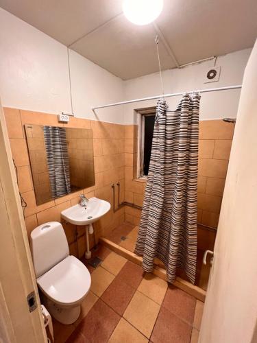 HBA Appartments Rodovre في Rødovre: حمام مع مرحاض ومغسلة