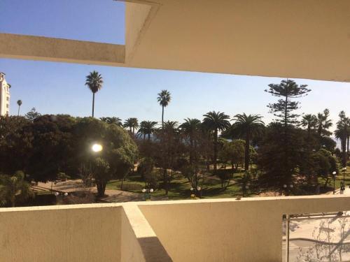 a view of a park with palm trees and a building at Apartamento San Martin in Viña del Mar