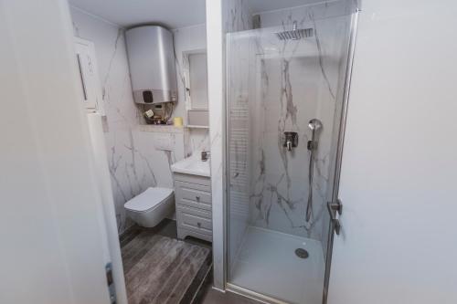 a white bathroom with a shower and a toilet at Apartment Zarja - Trije Kralji in Zgornja Ložnica