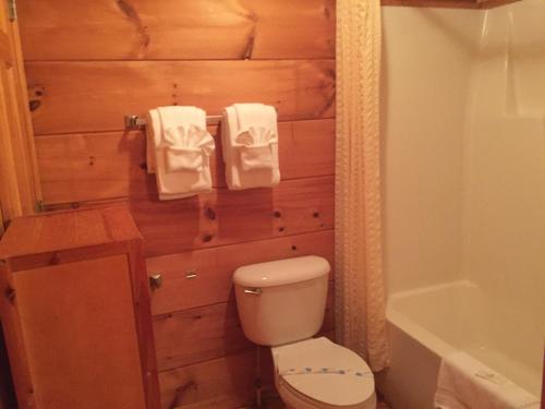 een badkamer met een toilet en een bad bij Highland Hills Motel & Cabins in Boone