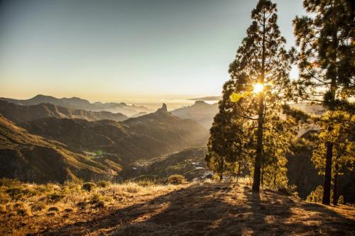 a tree on a hill with the sun shining on it at Hotel Rural El Refugio in Tejeda