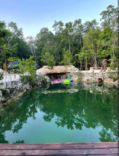 um lago num parque com água verde e árvores em El Cenote 11:11 em Tulum