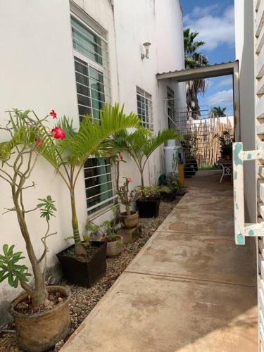 a courtyard with potted plants next to a building at Nice and well located apartment in Santa Fe in Caucel