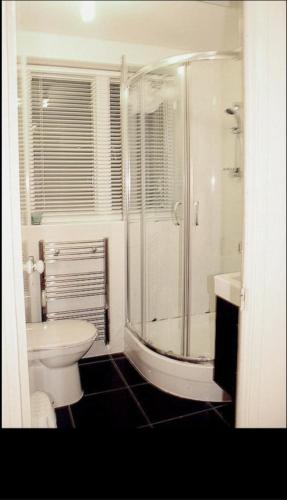 a bathroom with a shower and a toilet and a sink at Samurai in London