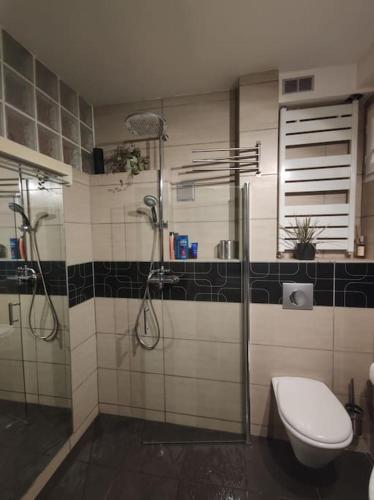 une salle de bain avec douche et toilettes dans l'établissement Le nid douillet - Cosy and very close to Paris, à Asnières-sur-Seine