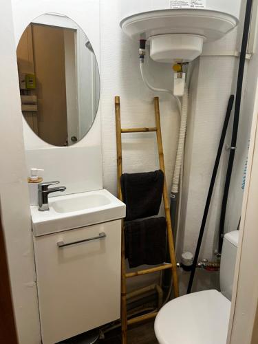 une salle de bain avec un lavabo et un miroir et des toilettes dans l'établissement Lilliputiens, à Rouen