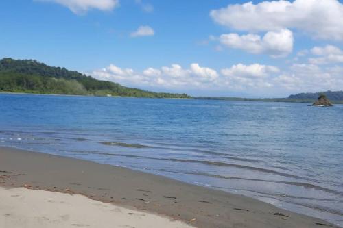 a body of water with a sandy beach and trees at Hospedaje Valencia Osa, CR in Potrero