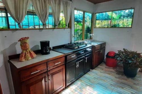una cocina con armarios de madera, fregadero y ventanas en Hospedaje Valencia Osa, CR, en Potrero