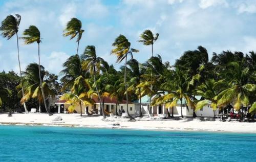 a view of a beach with palm trees and a building at Saona Típica B&B in Mano Juan