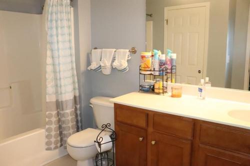 W łazience znajduje się umywalka, toaleta i lustro. w obiekcie Safari House w mieście Concord