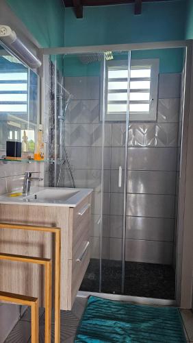 a bathroom with a shower with a sink and a glass shower door at Maison (Vu sur le Lagon) in Le Gosier