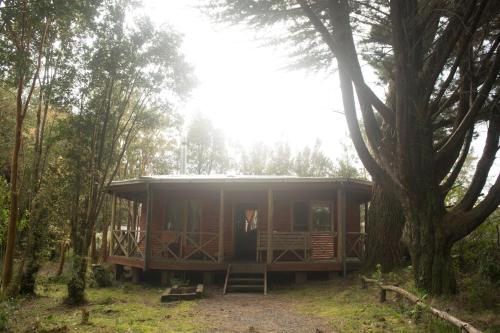 Κήπος έξω από το Mae Joa Turismo - Cabañas & Camping Familiar