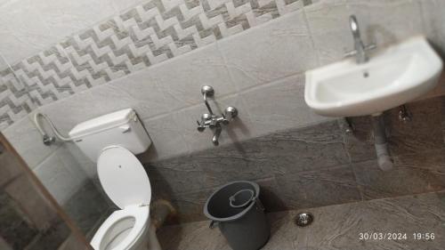 ein Bad mit einem WC und einem Waschbecken in der Unterkunft Kumaragam Resorts in Yercaud