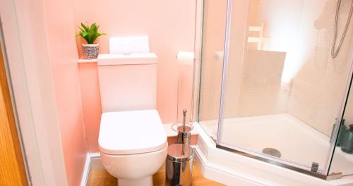 a bathroom with a toilet and a shower at Harston Property in Cambridge