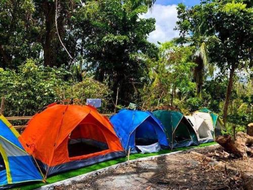 grupa namiotów zaparkowanych w lesie w obiekcie CampSarap Hostel & Resort w mieście Valencia