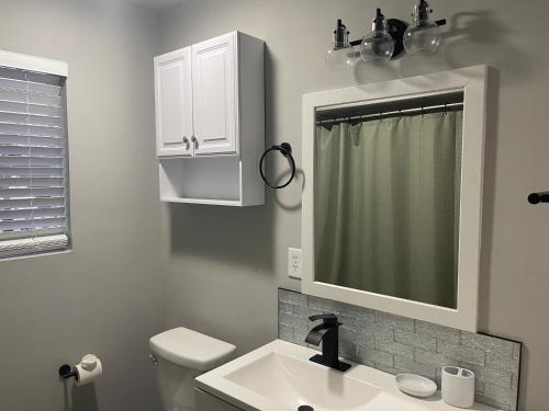a bathroom with a sink and a mirror and a toilet at UMC Apartments in Oklahoma City
