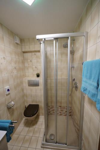 a bathroom with a shower with a black toilet at Ferienwohnung Erbachstraße in Waiblingen