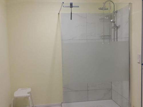 a bathroom with a glass shower with a toilet at Country house Wachendorf in Bruchhausen-Vilsen