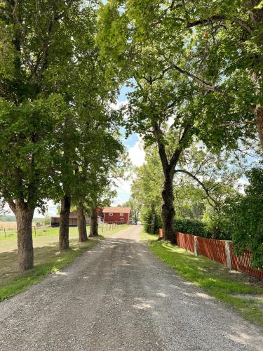 Un jardín fuera de Stort lantligt hus i idyllisk miljö