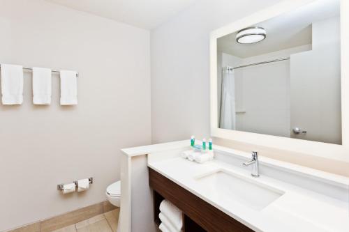 Koupelna v ubytování Holiday Inn Express & Suites - Cartersville by IHG