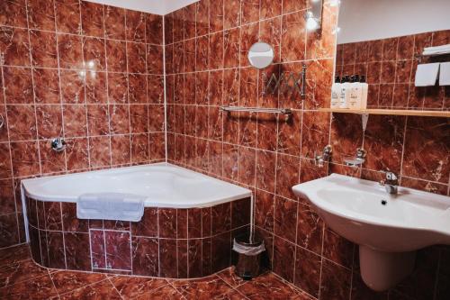Hotel Centrum في هرانيتسي: حمام مع حوض ومغسلة