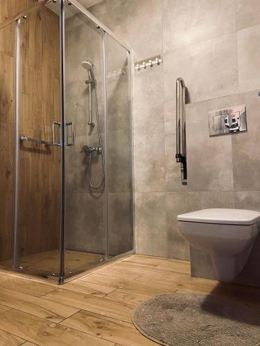 a shower stall in a bathroom with a toilet at SAND Sarbinowo in Sarbinowo