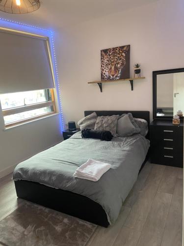 a bedroom with a large bed with a mirror at Enfield homes in London