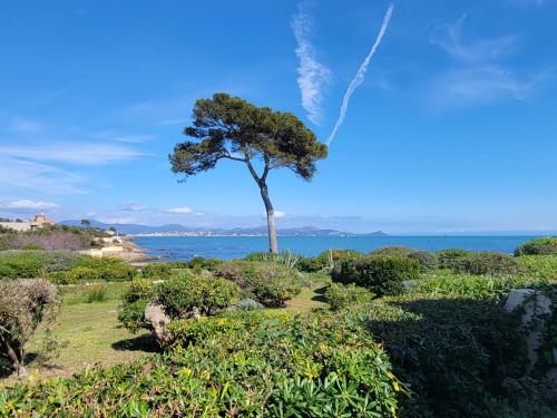 Le Serenity : mer, calme et tranquillité