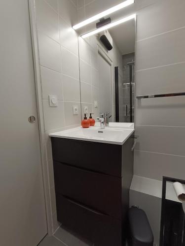 une salle de bain avec un lavabo et un miroir dans l'établissement Le Petit Graulen, au Grau-du-Roi