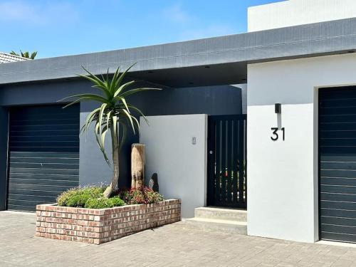 a palm tree in a brick planter in front of a building at The Elegant Beach House in Swakopmund