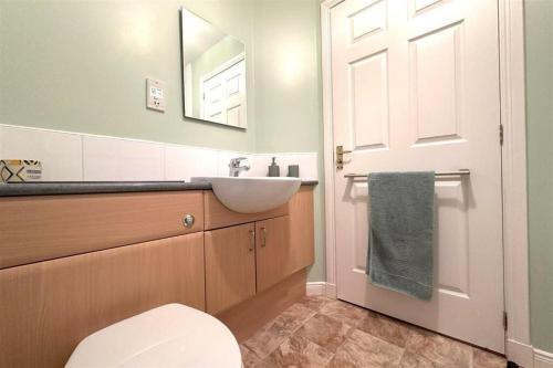 a bathroom with a sink and a toilet and a mirror at The Old Mill Apartment, on NC500 in Brora