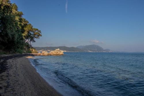 Φυσικό τοπίο κοντά σε αυτό το διαμέρισμα