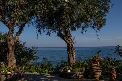 Φυσικό τοπίο κοντά σε αυτό το διαμέρισμα