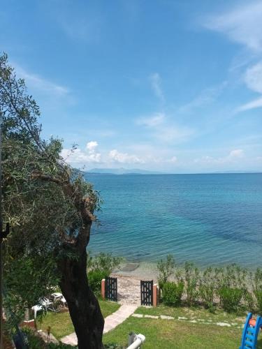 Beachfront Romantica place First floor