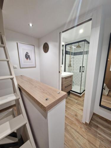 a bathroom with a sink and a mirror at LE PETIT TRIPLEX DES CARMELITES -COEUR HISTORIQUE in Rouen