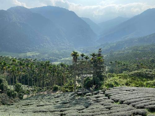 Un paisaje natural cerca de la habitación en casa particular