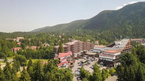 an aerial view of a town in the mountains at Alpin Resort Hotel in Poiana Brasov