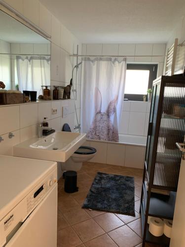 a bathroom with a sink and a toilet and a tub at Ruhig, Sonnig und etwas Speziell in Hilzingen