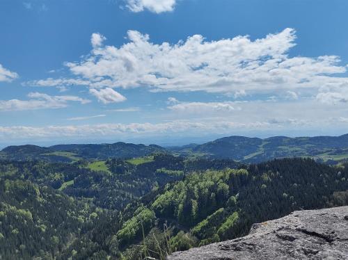 a view from the top of a mountain with trees at Biohof Bernhard in Unterweissenbach