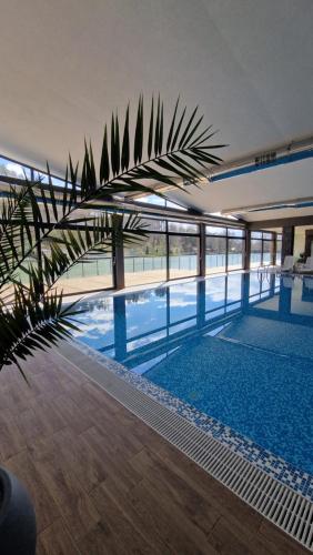 uma piscina com uma palmeira num edifício em Waterside SPA Hotel em Ognyanovo