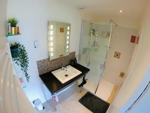 a bathroom with a sink and a shower at EVASION NATURE ET CONVIVIALITÉ in Sourcieux-les-Mines