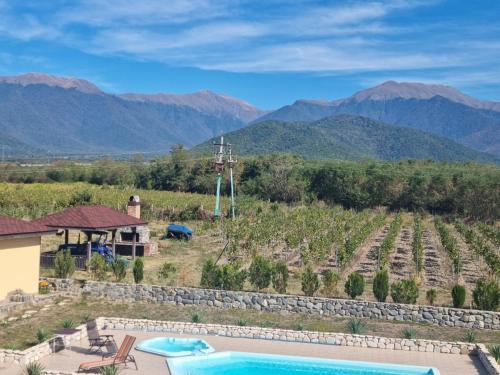 a villa with a pool and mountains in the background at Rancho Laila in Shilda