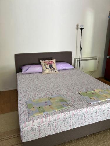 een slaapkamer met een bed met 2 kussens bij Nina's house in Cetinje