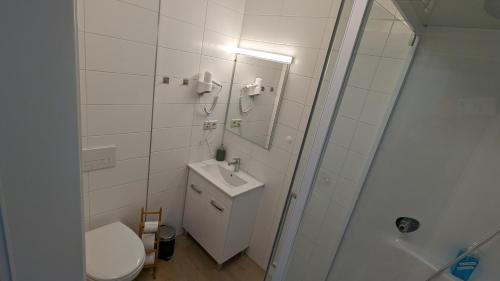 y baño con aseo, lavabo y ducha. en Wülde Hoamat en Eisenerz