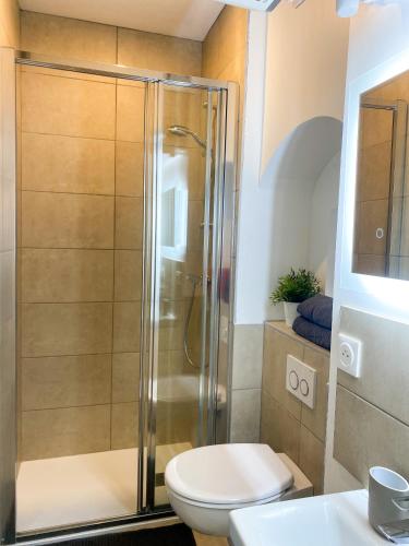 une salle de bain avec douche et toilettes dans l'établissement Studio cosy Eglise Notre-Dame-des-Calades, à Villefranche-sur-Saône