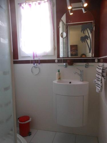 une salle de bain avec un lavabo et un miroir dans l'établissement APPT 2 PIECES 28m2 + LOGGIA 7m2 REF 4005, à Le Castellas